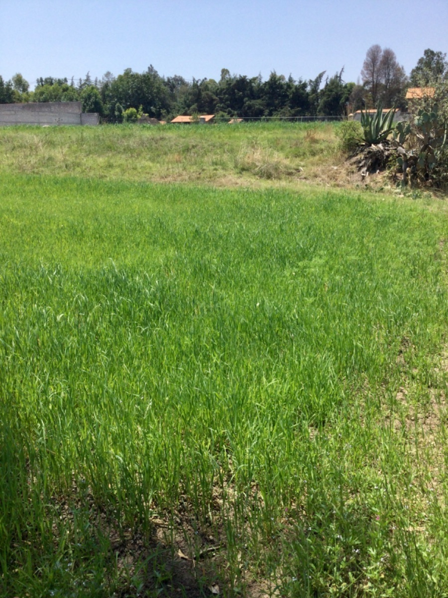 se-vende-hermoso-terreno-a-80-minutos-de-la-caseta-de-tepotzotln23-12317