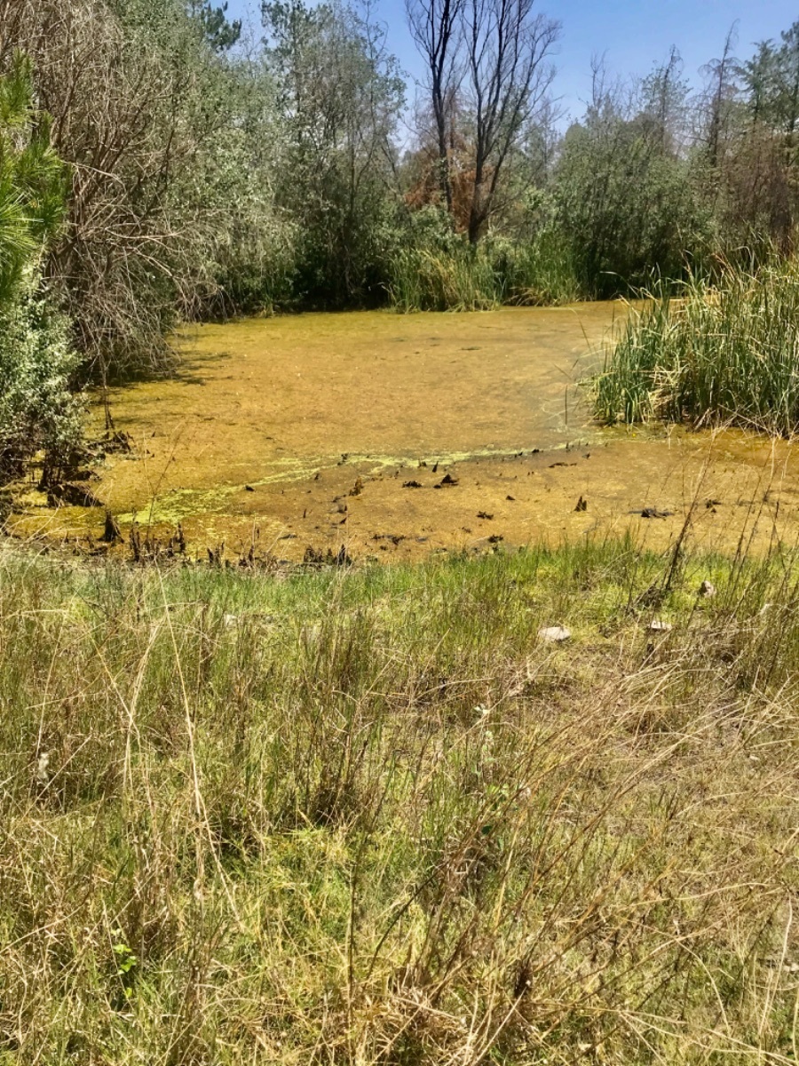 se-vende-hermoso-terreno-a-80-minutos-de-la-caseta-de-tepotzotln27-12317
