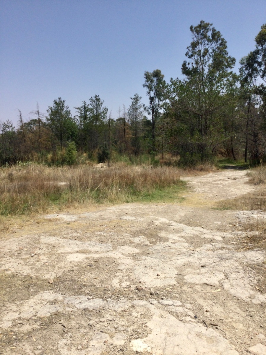 se-vende-hermoso-terreno-a-80-minutos-de-la-caseta-de-tepotzotln9-12317