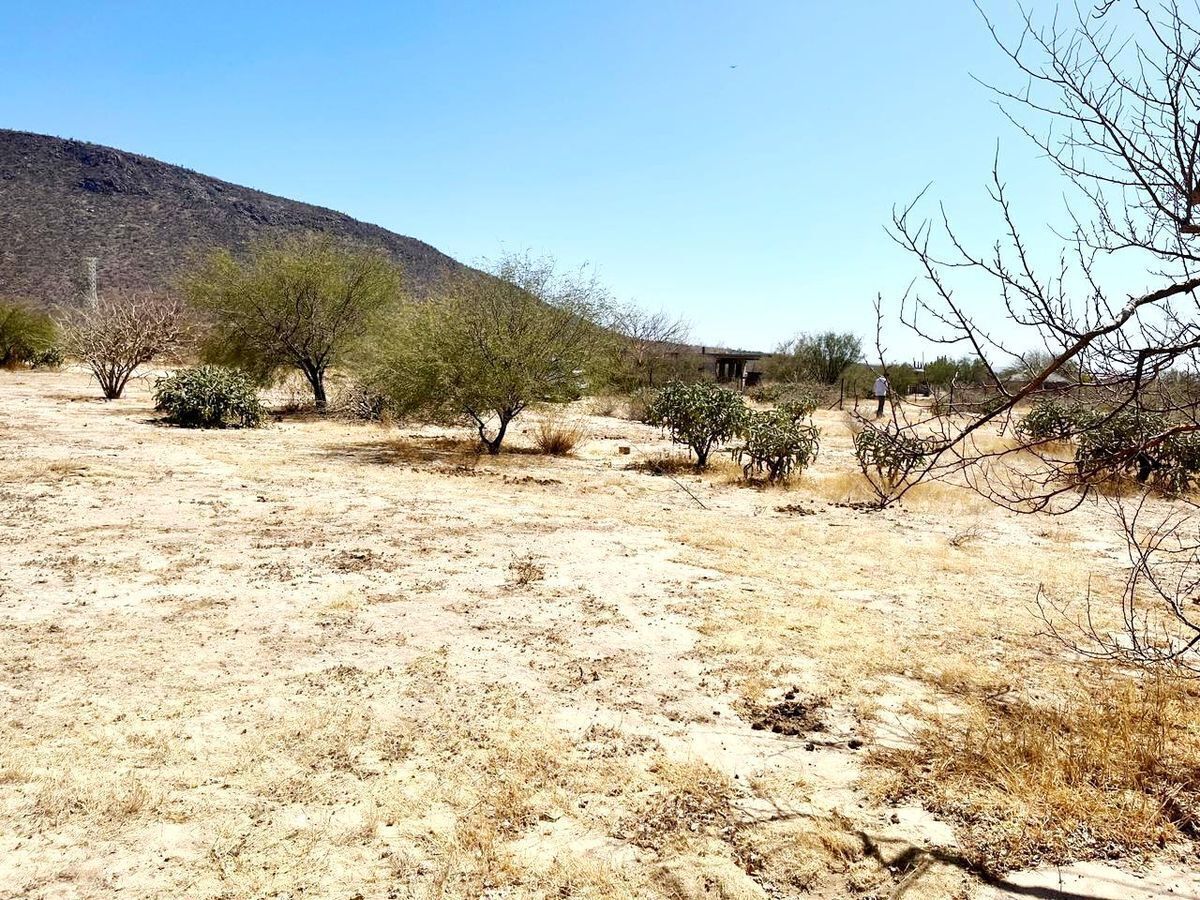se-vende-terreno-en-campestre-mezquitito11-11834