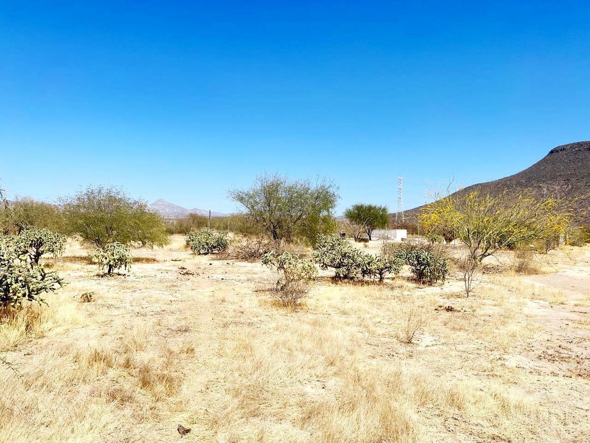 se-vende-terreno-en-campestre-mezquitito15-11834