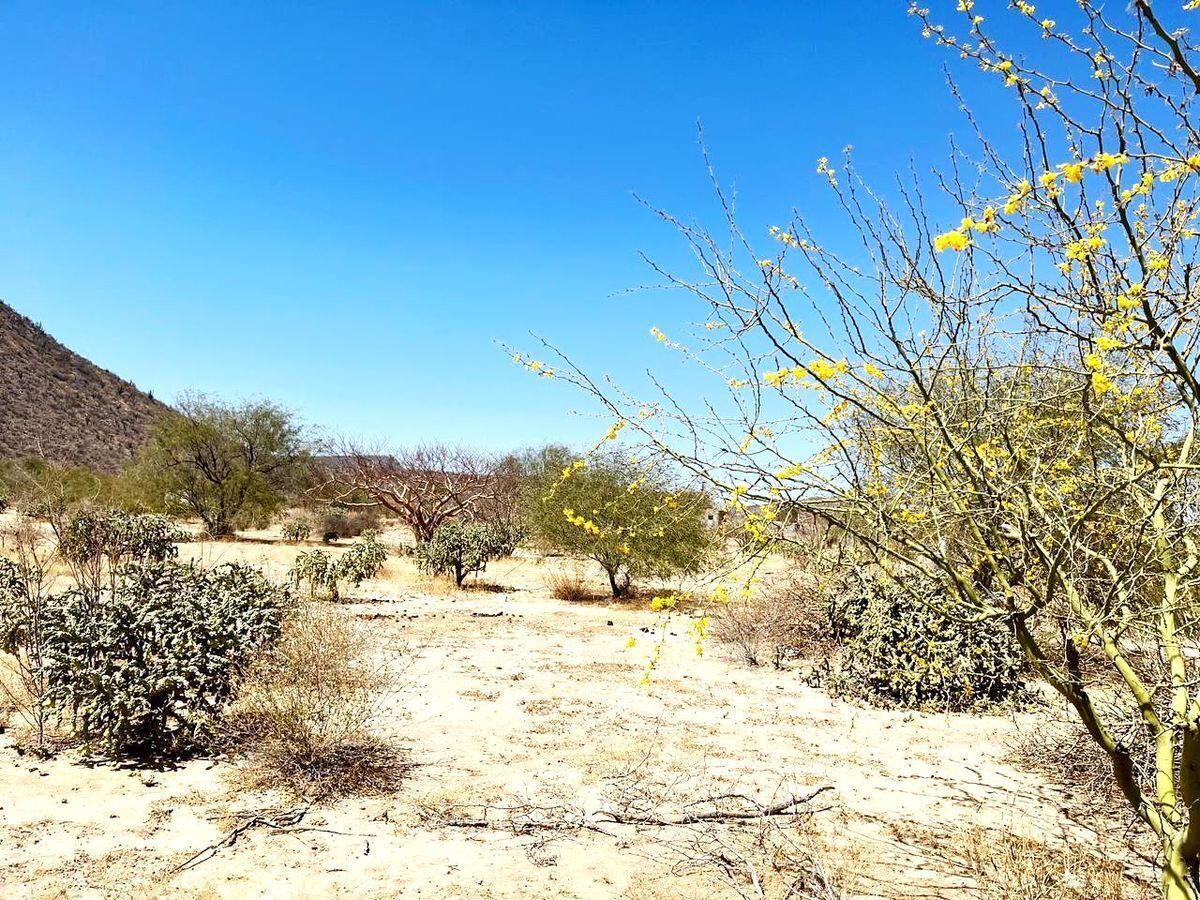 se-vende-terreno-en-campestre-mezquitito3-11834