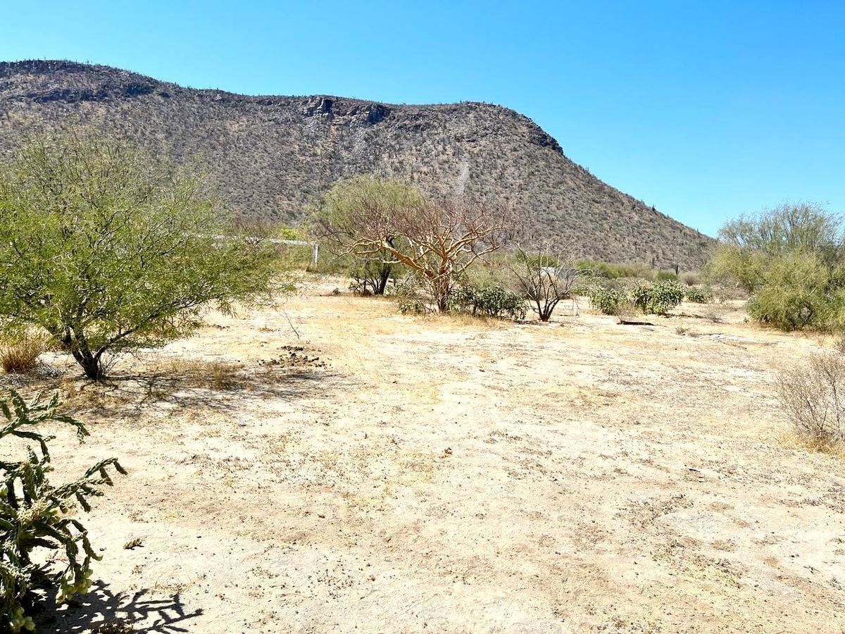 se-vende-terreno-en-campestre-mezquitito5-11834