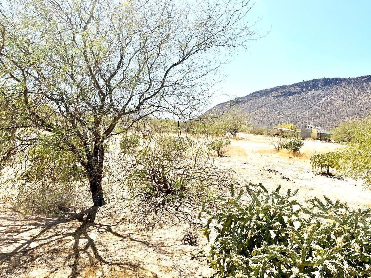 se-vende-terreno-en-campestre-mezquitito7-11834