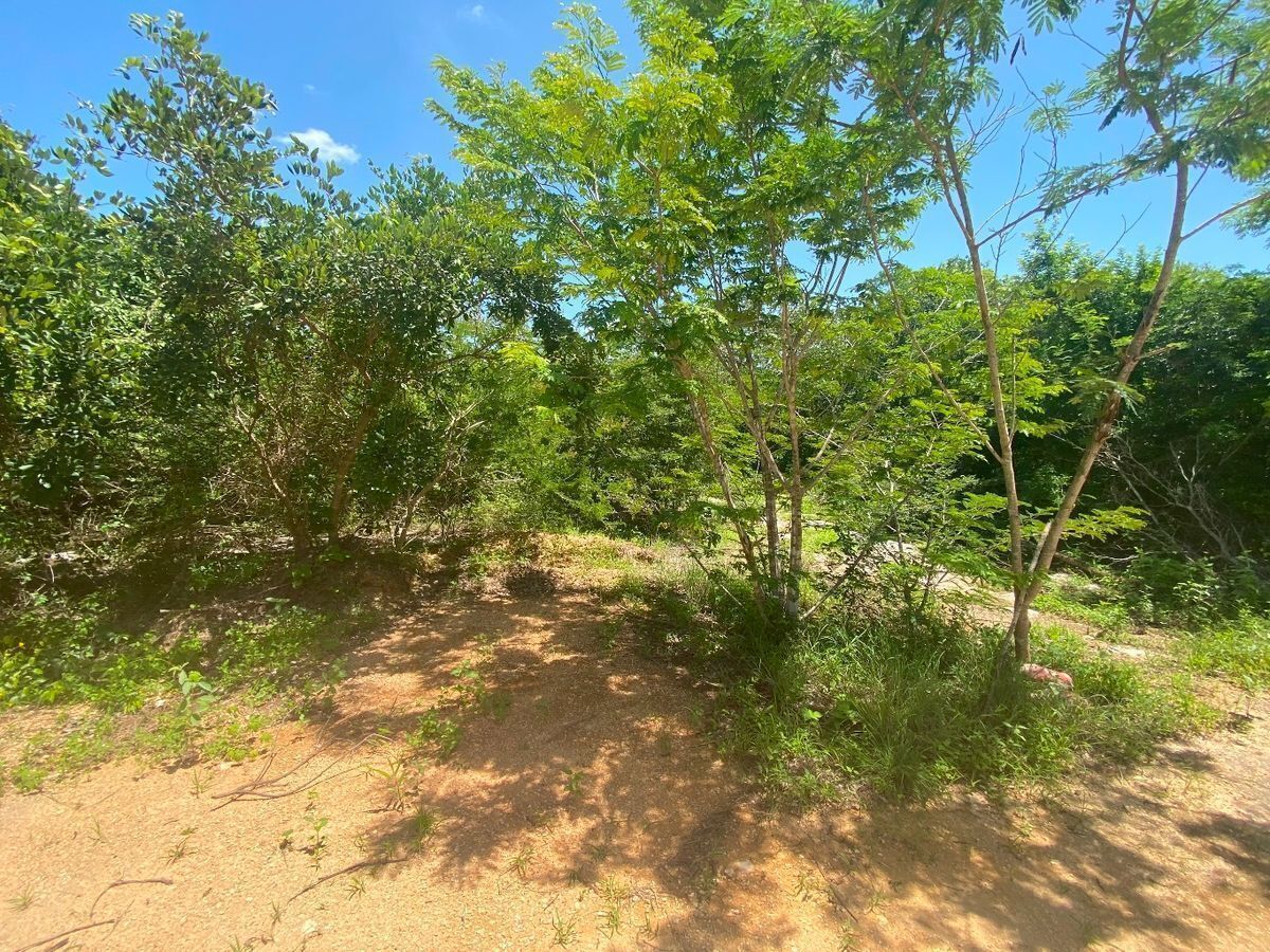 terreno--en-venta-macro-lote-oportunidad3-19810