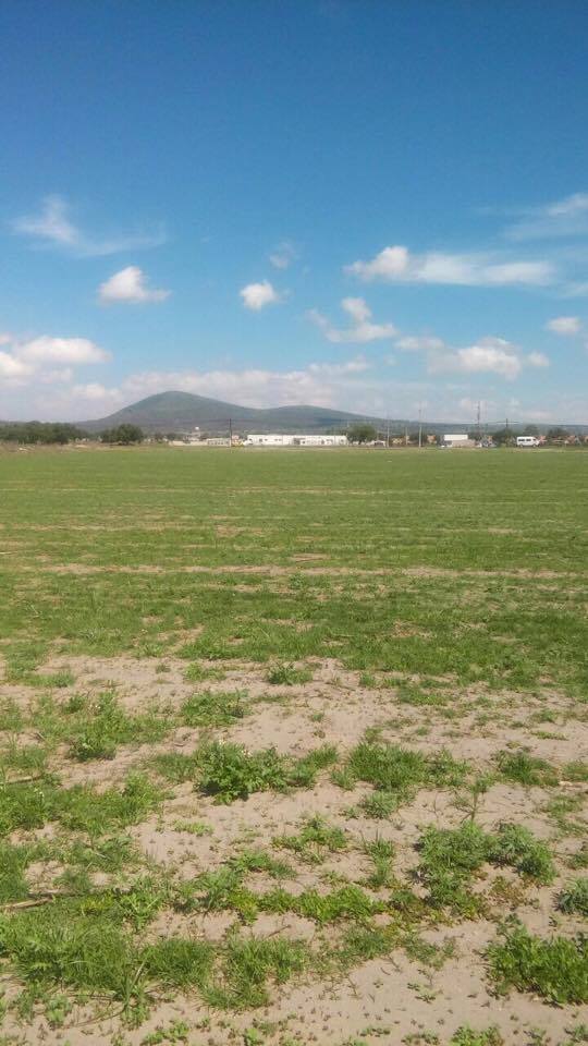Propiedad