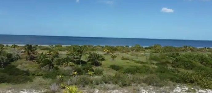 TERRENO A ORILLA DE PLAYA MERIDA YUCATAN