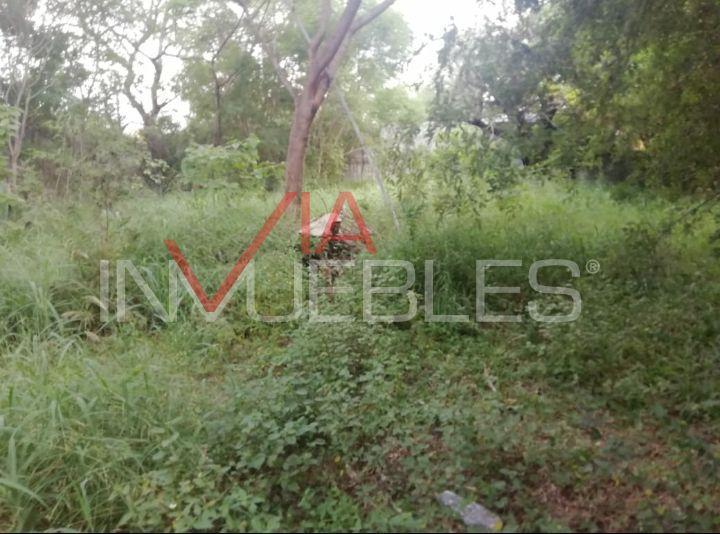 terreno-comercial-en-renta-en-garza-y-garza-jurez-nuevo-len3-31058