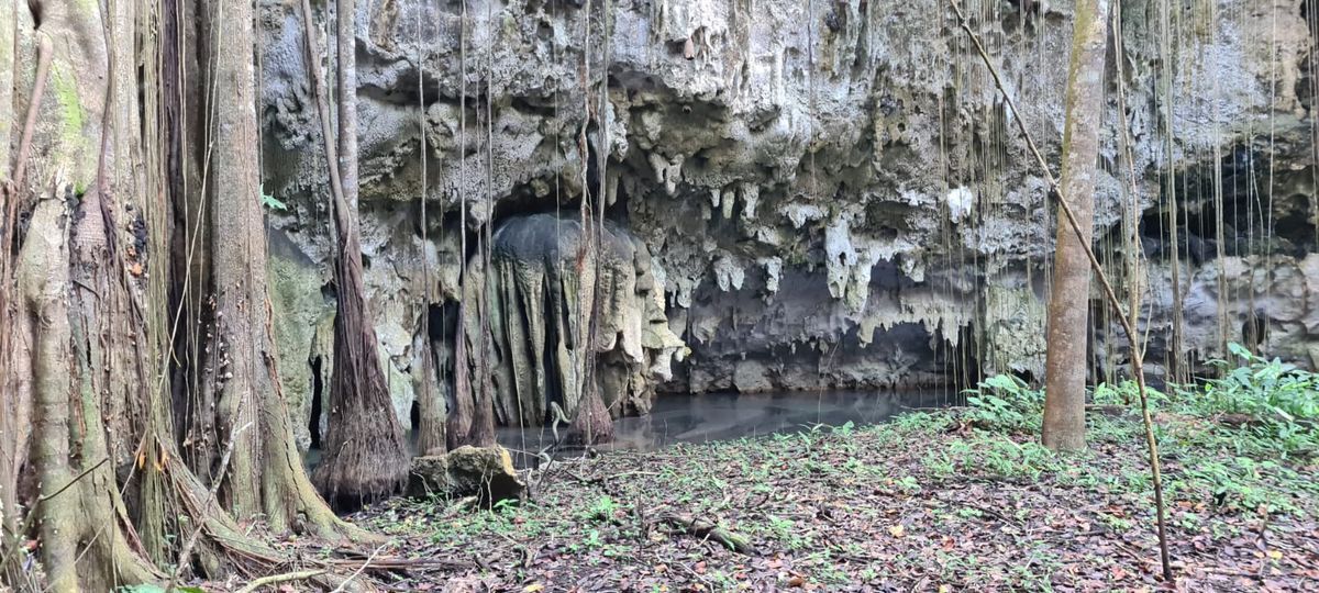 terreno-con-cenote-en-valladolid12-29946