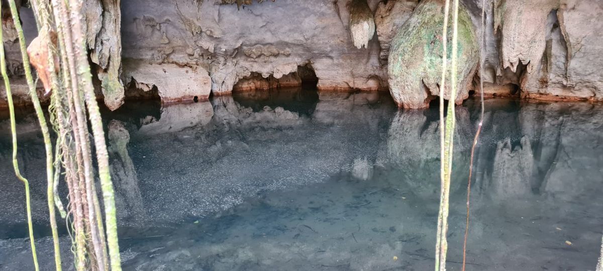 terreno-con-cenote-en-valladolid2-29946