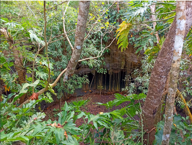 terreno-con-cenote-en-valladolid4-29946