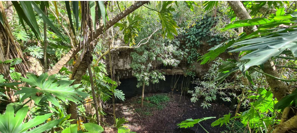 terreno-con-cenote-en-valladolid6-29946