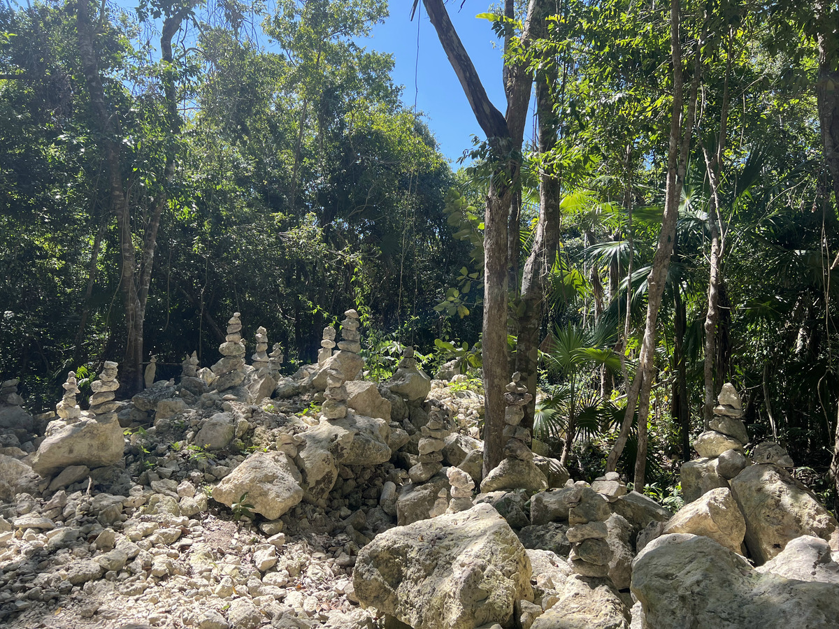 terreno-con-cenote-en-venta-en-akumal-ideal-para-ecoturismo-ecohotel-o-resid5-33391