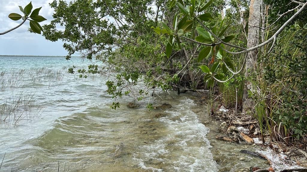 terreno-de-15-hectareas-con-frente-de-laguna-de-bacalar-costa-maya10-29824