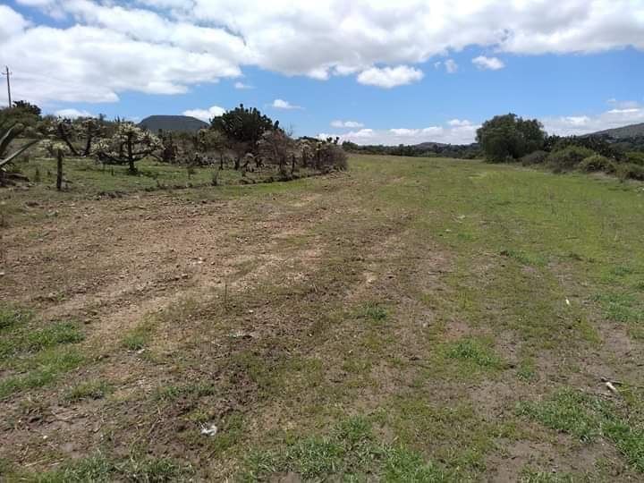 terreno-de-82-hectreas-en-venta-temascalapa-edomex4-37180