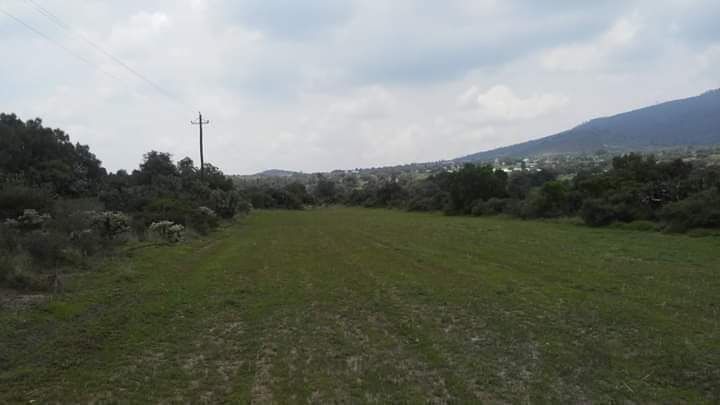 terreno-de-82-hectreas-en-venta-temascalapa-edomex9-37180