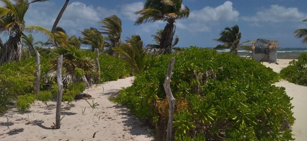 terreno-de-playa-en-mahahual7-30796