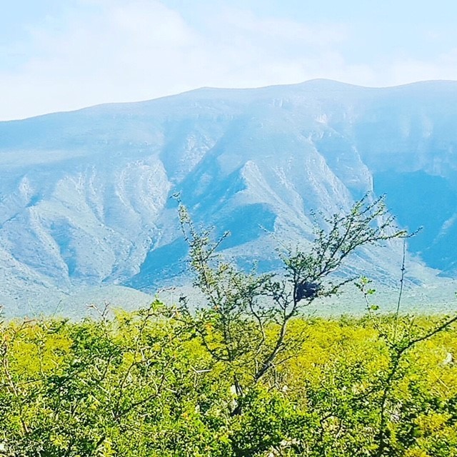 terreno-ejidal-con-cambio-de-destino-aprobado-en-bustamante-n-l5-13302