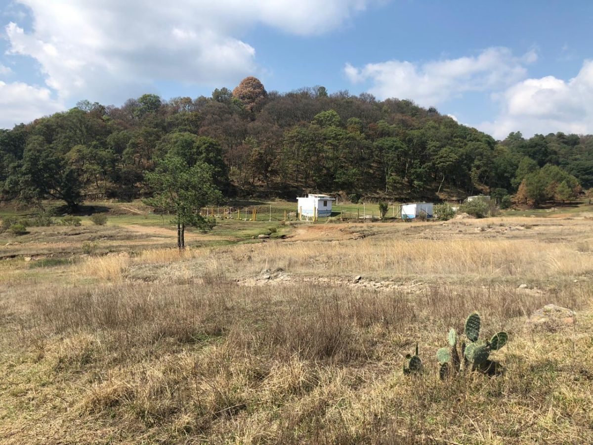 terreno-ejidal5-15181