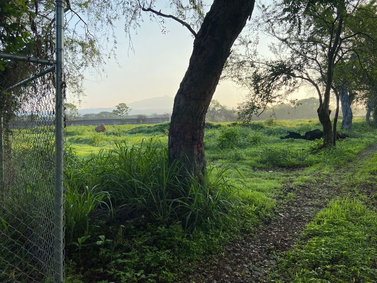terreno-en-comala-colima10-13630