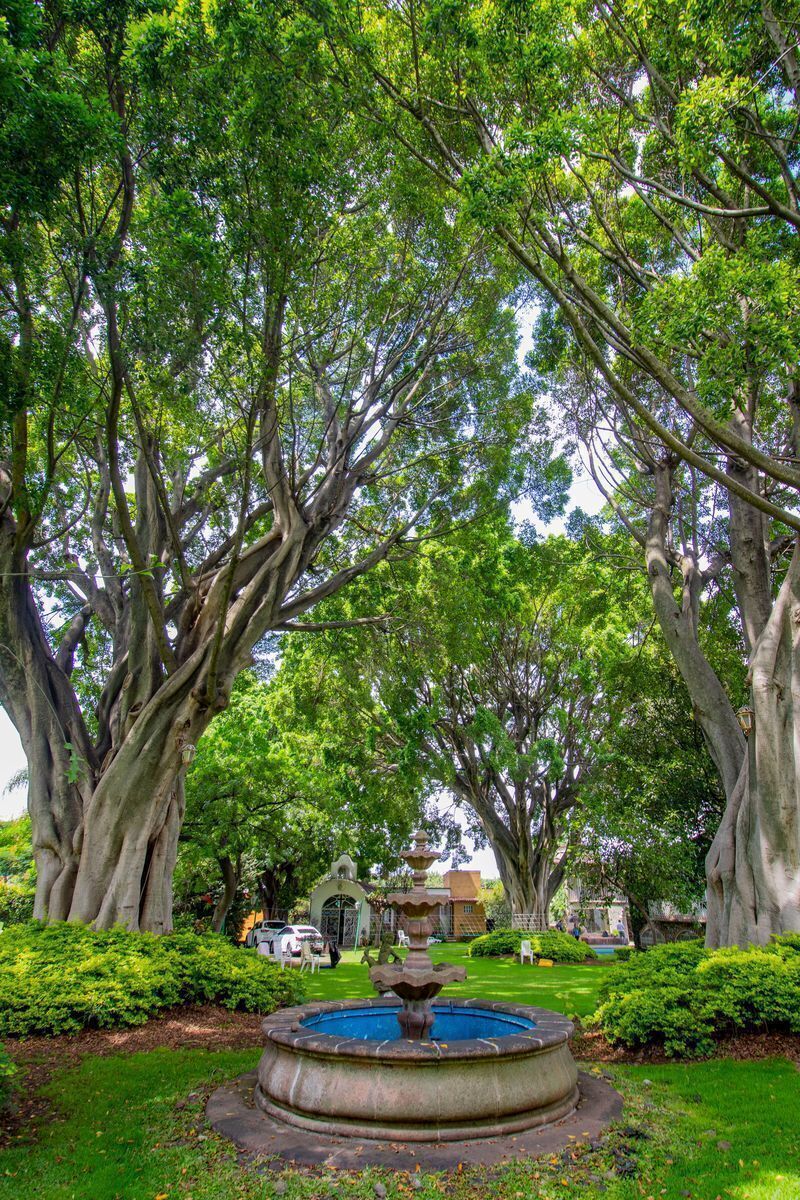 terreno-en-cuernavaca-tlaltenango7-34776