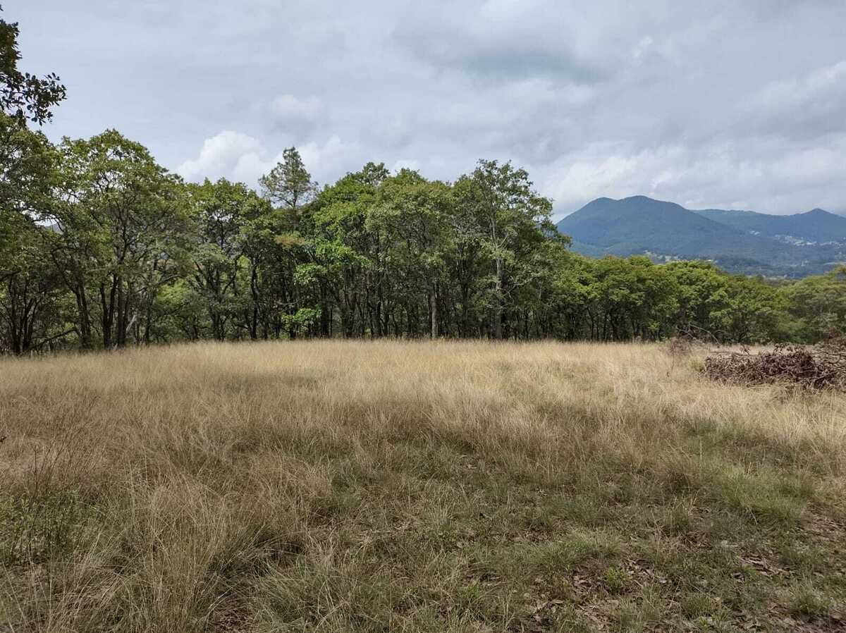 TERRENO EN JILOTZINGO A 1.7KM DE COLEGIO LASALLE