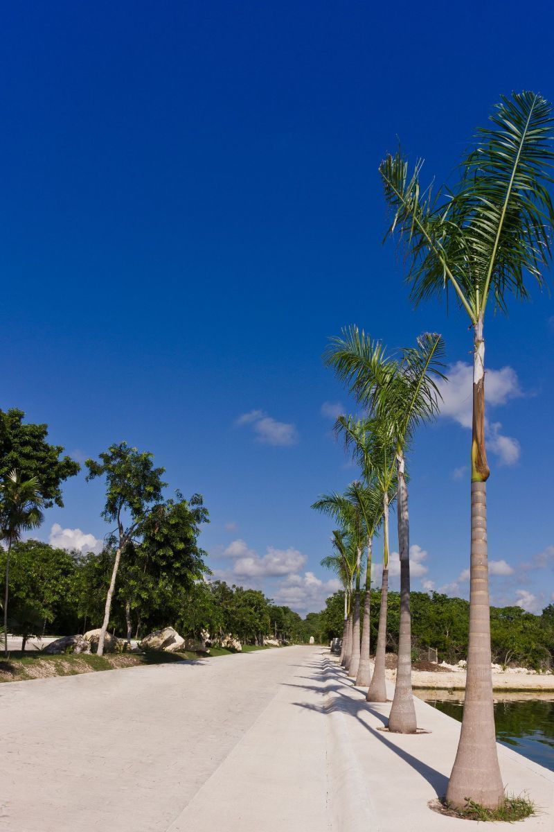 terreno-en-puerto-aventuras-solidaridad6-7905