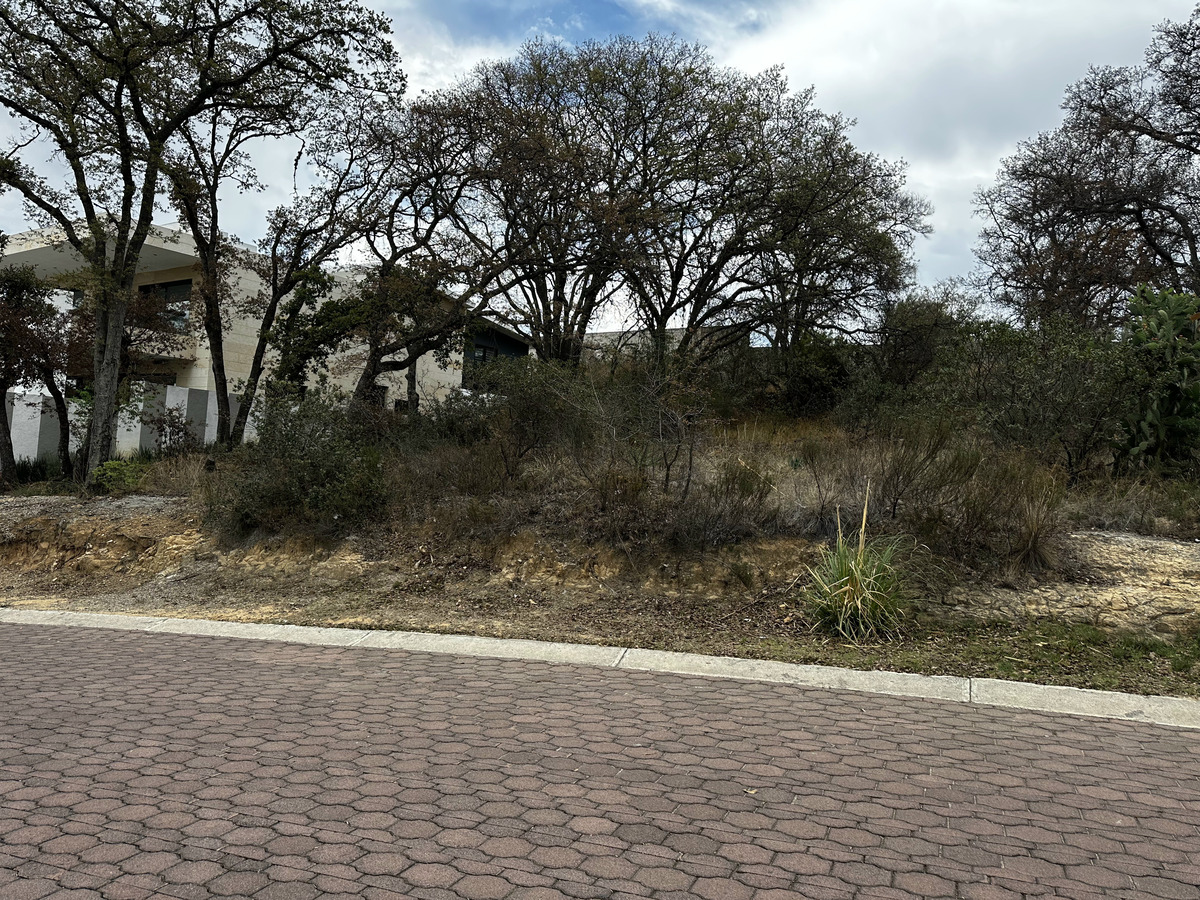 terreno-en-rancho-san-juan2-36559