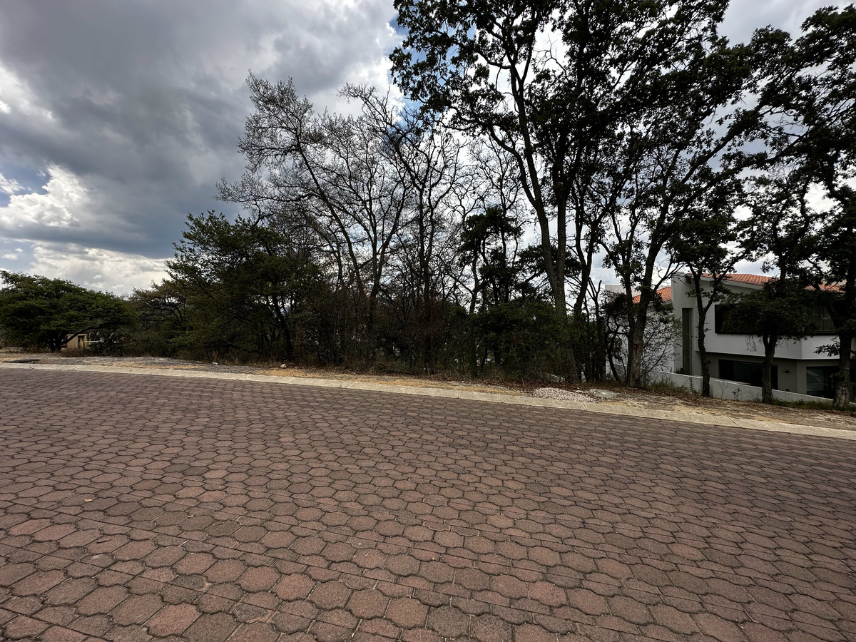 terreno-en-rancho-san-juan3-36559