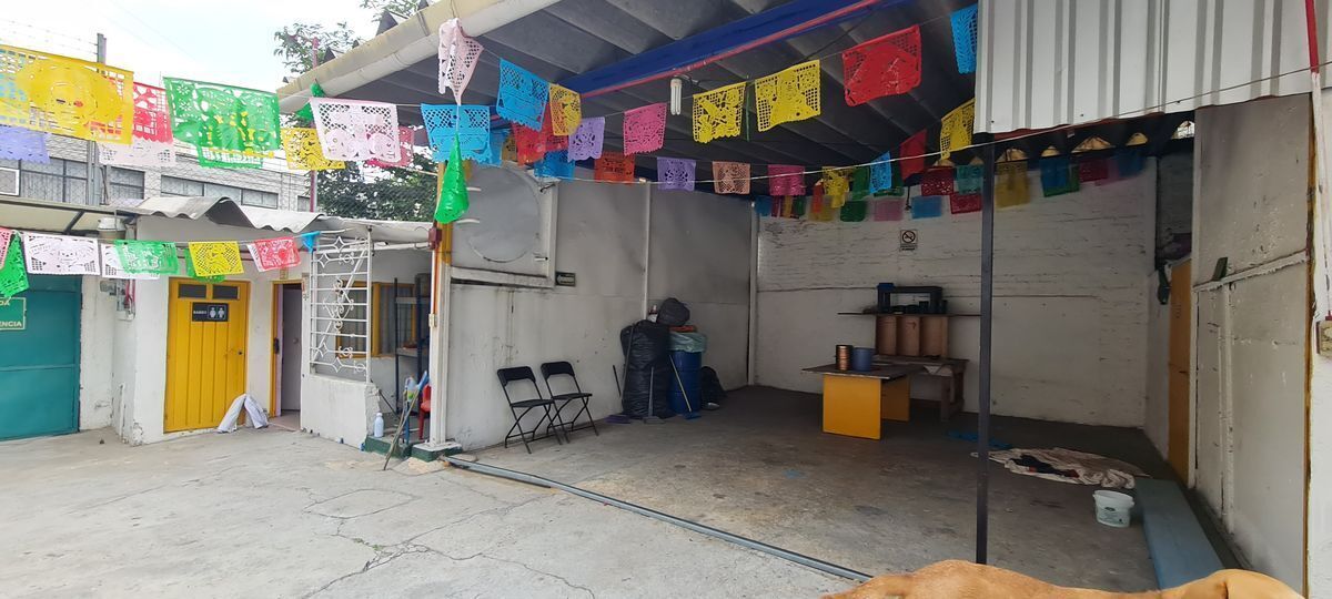terreno-en-renta-cda-talara-guadalupe-tepeyac13-38554