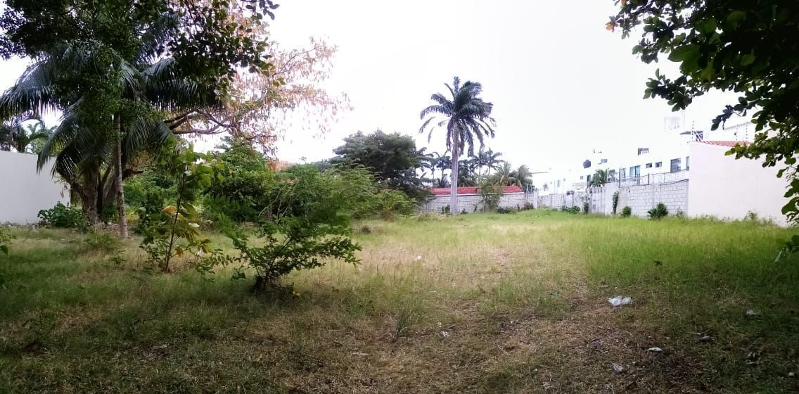 terreno-en-renta-comercial-usos-varios-carmen-campeche2-21407