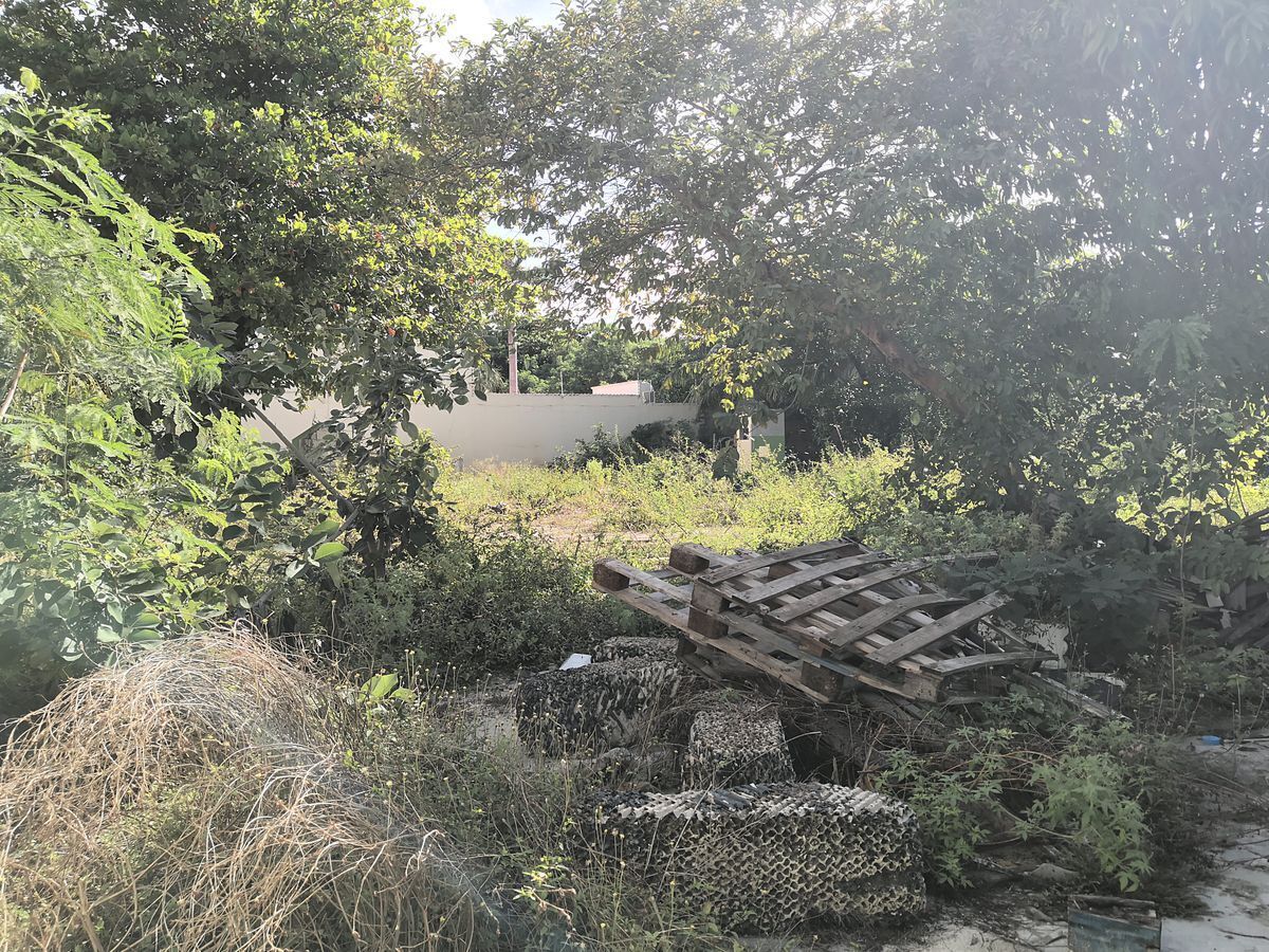 terreno-en-renta-en-col-isla-del-carmen-2000-en-cd-del-carmen-campeche12-32545