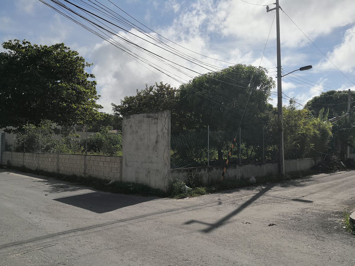 terreno-en-renta-en-col-isla-del-carmen-2000-en-cd-del-carmen-campeche14-32545