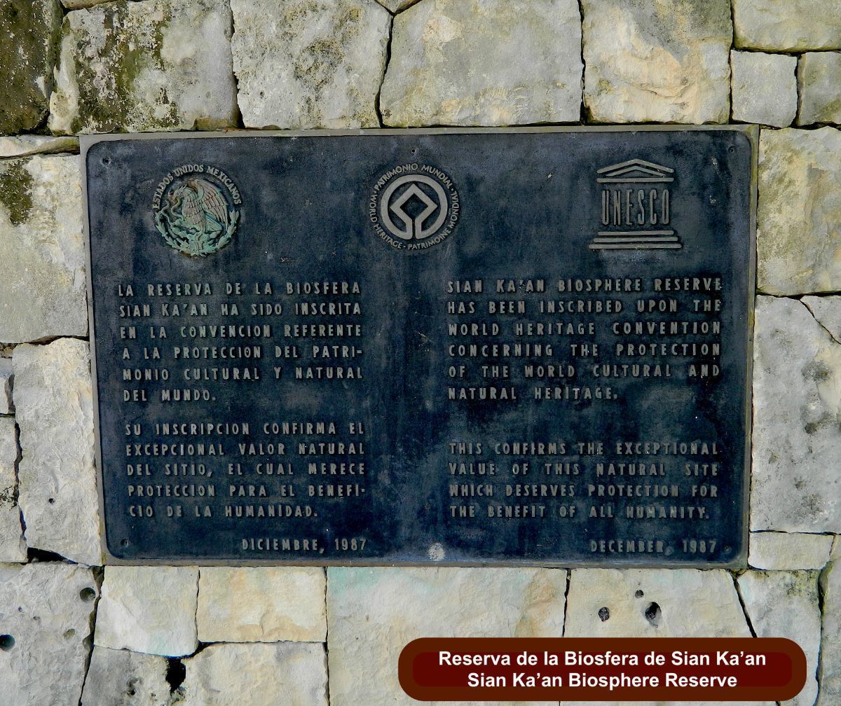 terreno-en-tulum-centro-tulum2-8286