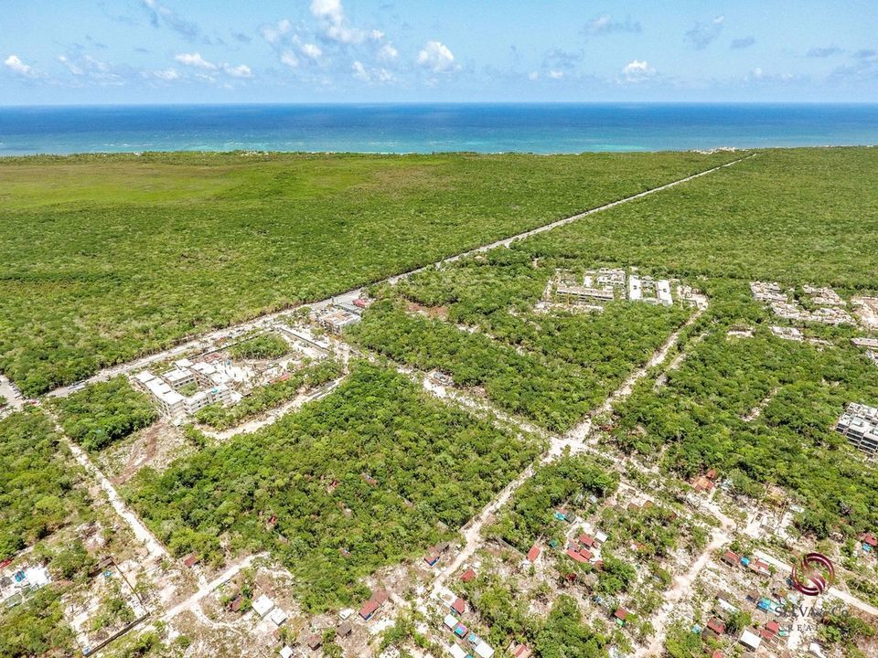 terreno-en-tulum-centro-tulum4-8179