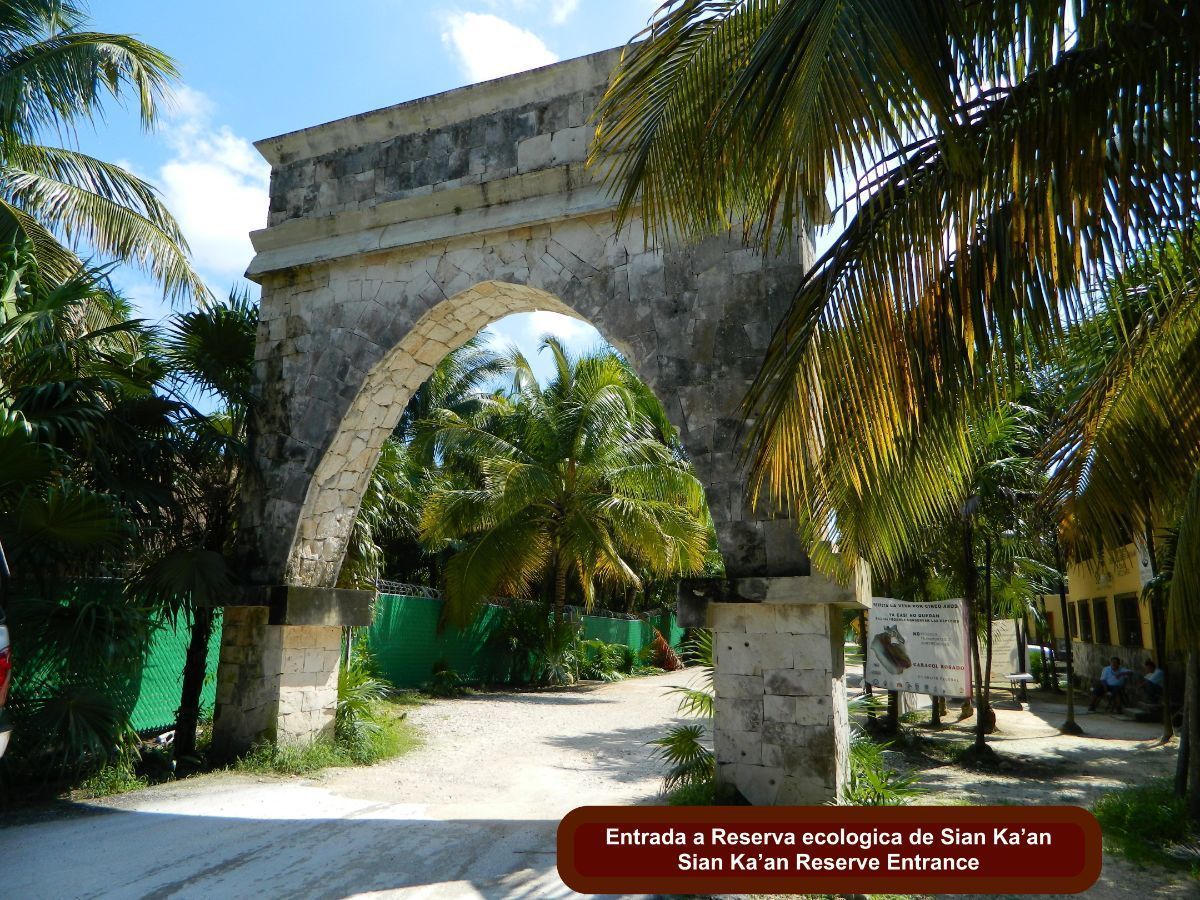 terreno-en-tulum-centro-tulum8-8286