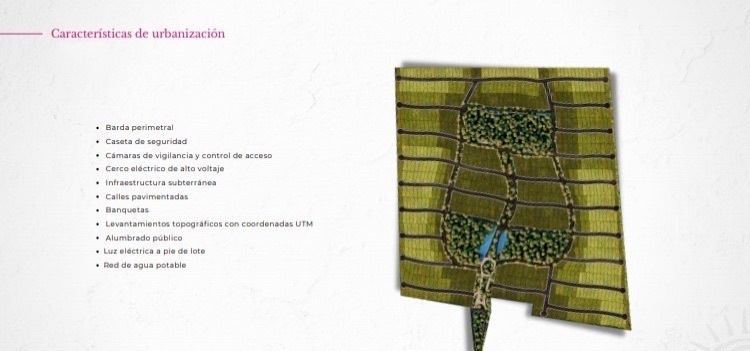 terreno-en-venta--en-sisalyucatan25-19792