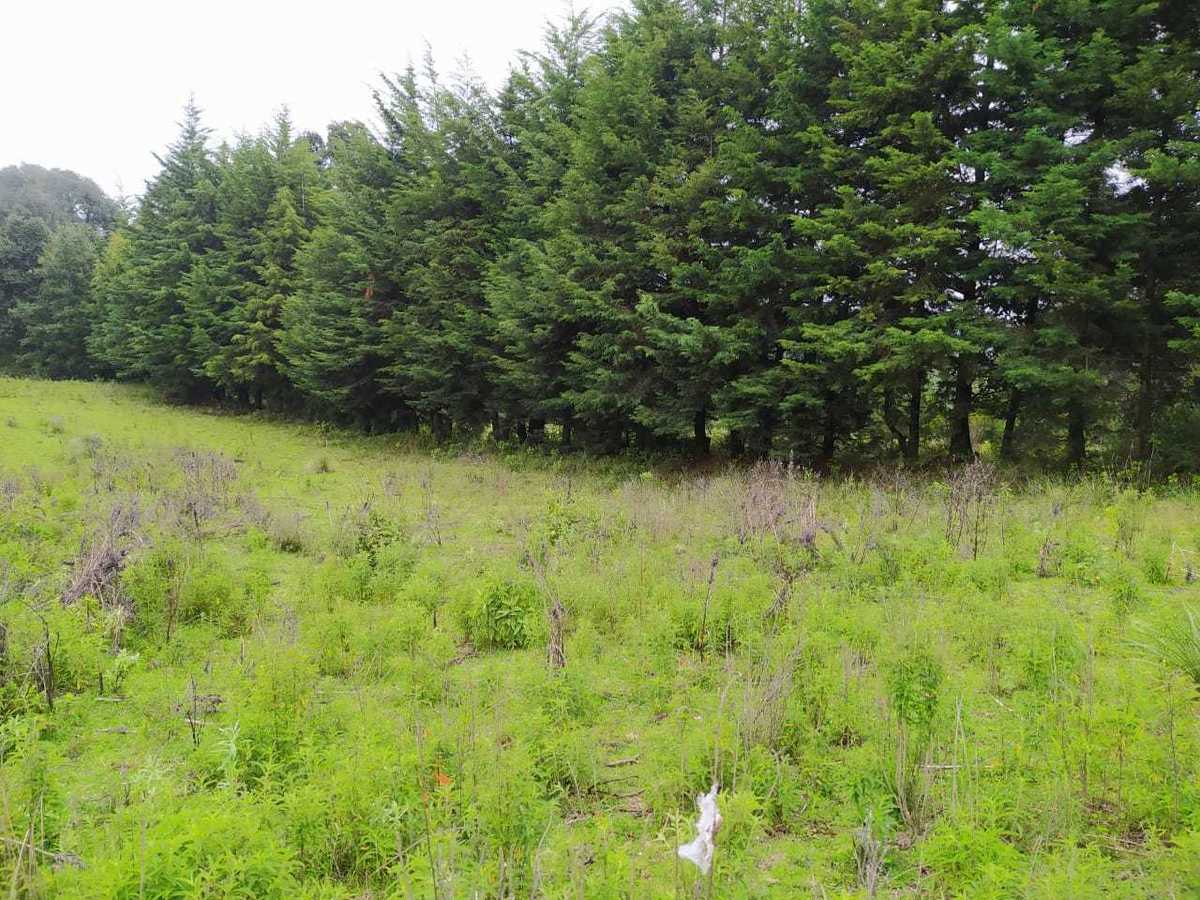 Terreno en venta 315m2 Carretera a Oaxtepec, Morelos