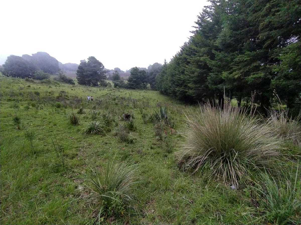 terreno-en-venta-315m2-carretera-a-oaxtepec-morelos2-35002