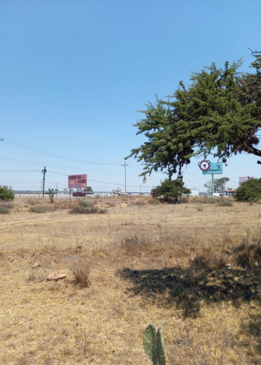 terreno-en-venta-a-pie-de-carretera-a-la-altura-de-palmillas--san-juan-del-ro9-38527