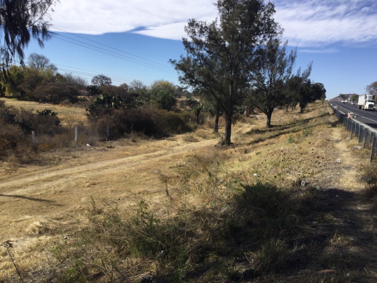 terreno-en-venta-a-pie-de-carretera-sobre-la-mex--qro--ruano-polotitln4-38478