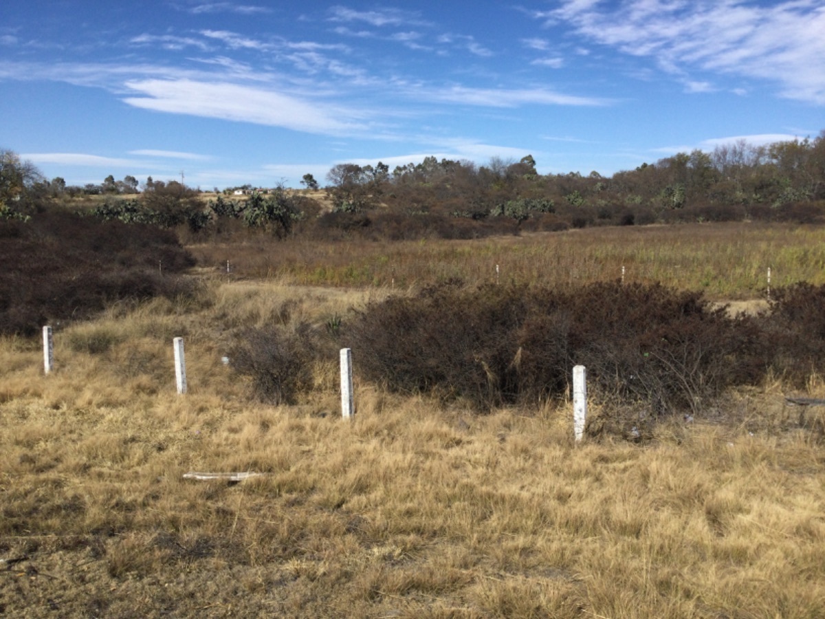 terreno-en-venta-a-pie-de-carretera-sobre-la-mex--qro--ruano-polotitln9-38478