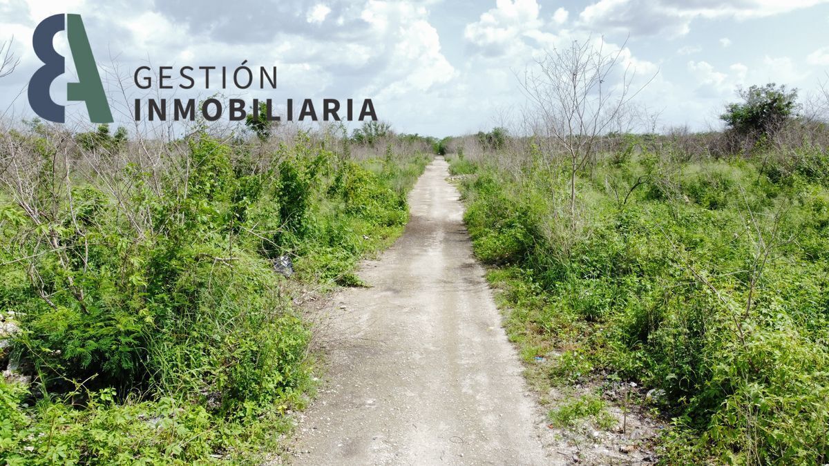 terreno-en-venta-al-norte-de-merida--yaxkukul-yucatn-ctv2426-32585