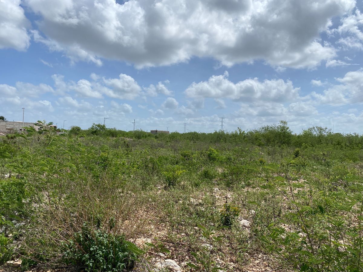 terreno-en-venta-al-norte-de-mrida-en-dzitya7-22271