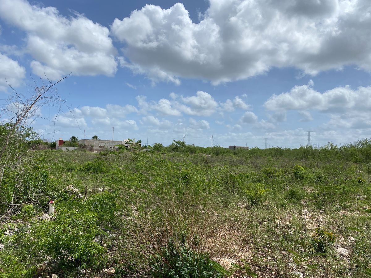 terreno-en-venta-al-norte-de-mrida-en-dzitya8-22271