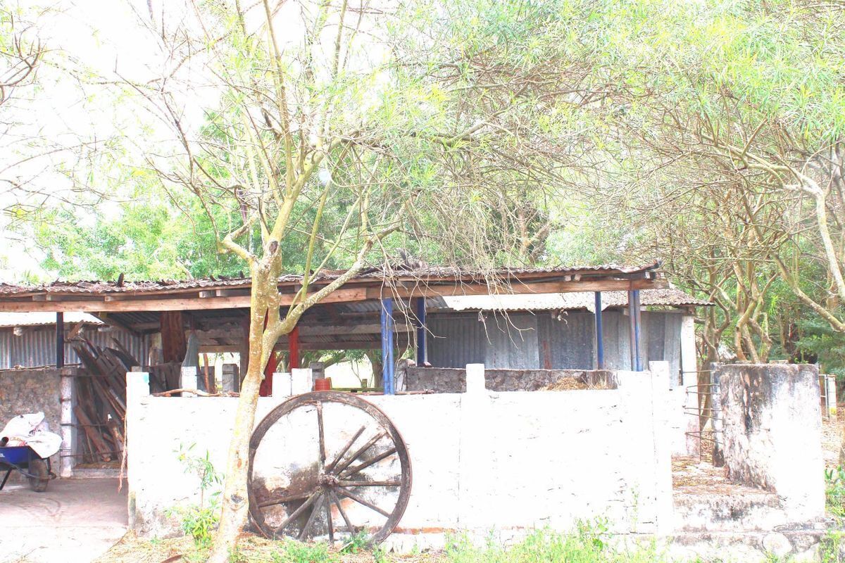 terreno-en-venta-carretera-tuxtlaocozocoautla16-31642