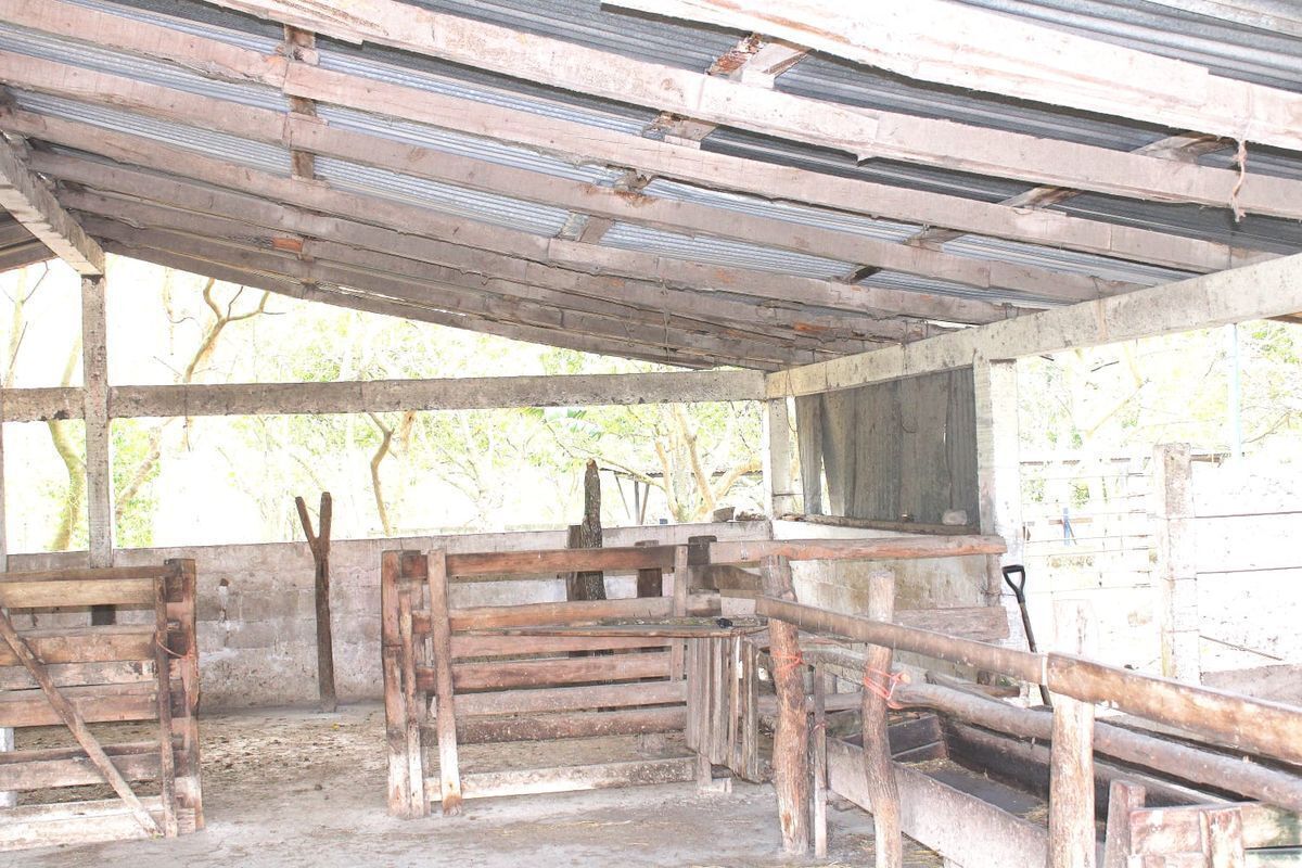 terreno-en-venta-carretera-tuxtlaocozocoautla22-31642