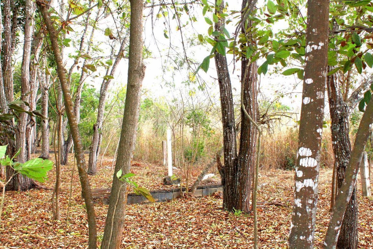 terreno-en-venta-carretera-tuxtlaocozocoautla29-31642