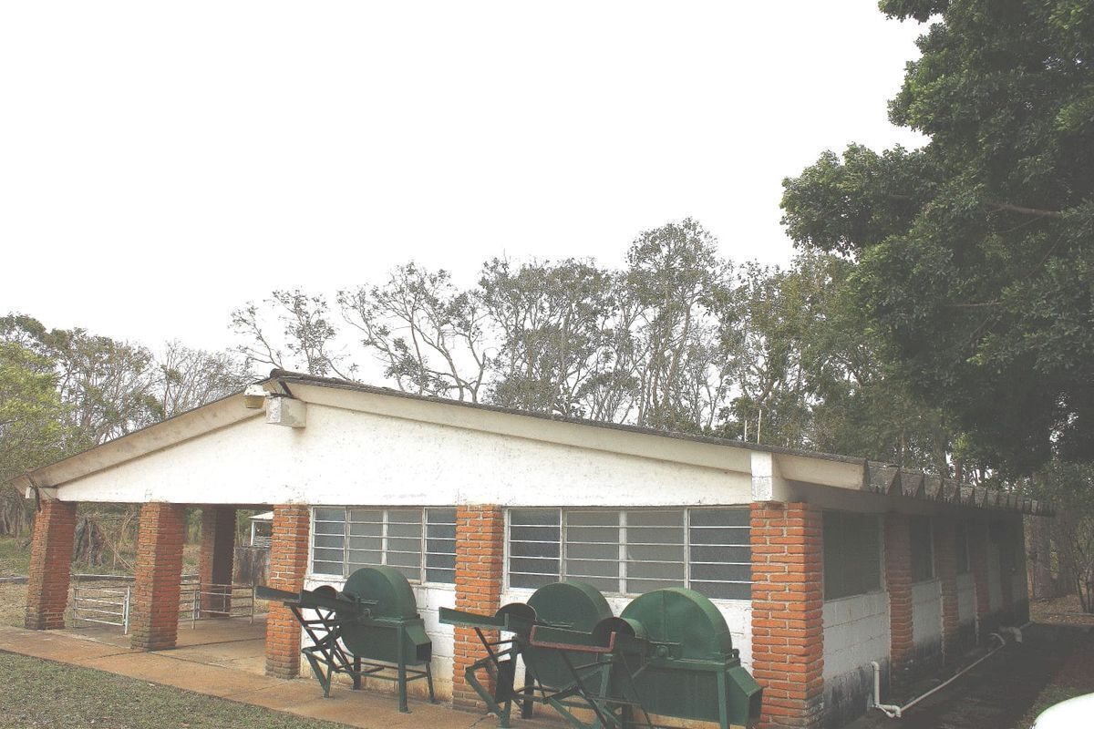 terreno-en-venta-carretera-tuxtlaocozocoautla5-31642