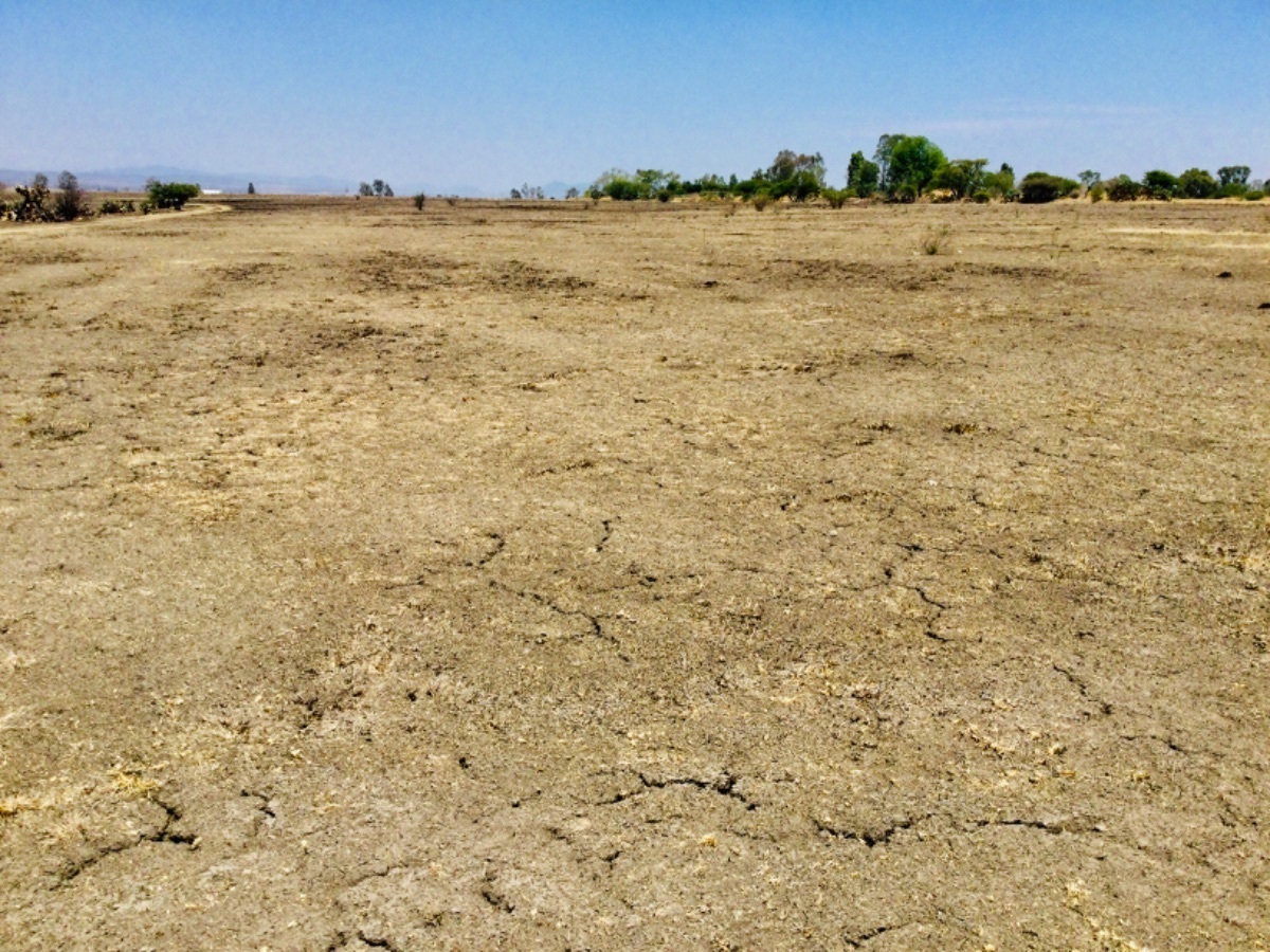 terreno-en-venta-cerca-de-carretera-toluca-palmillas-san-antonio-polotitln7-12315